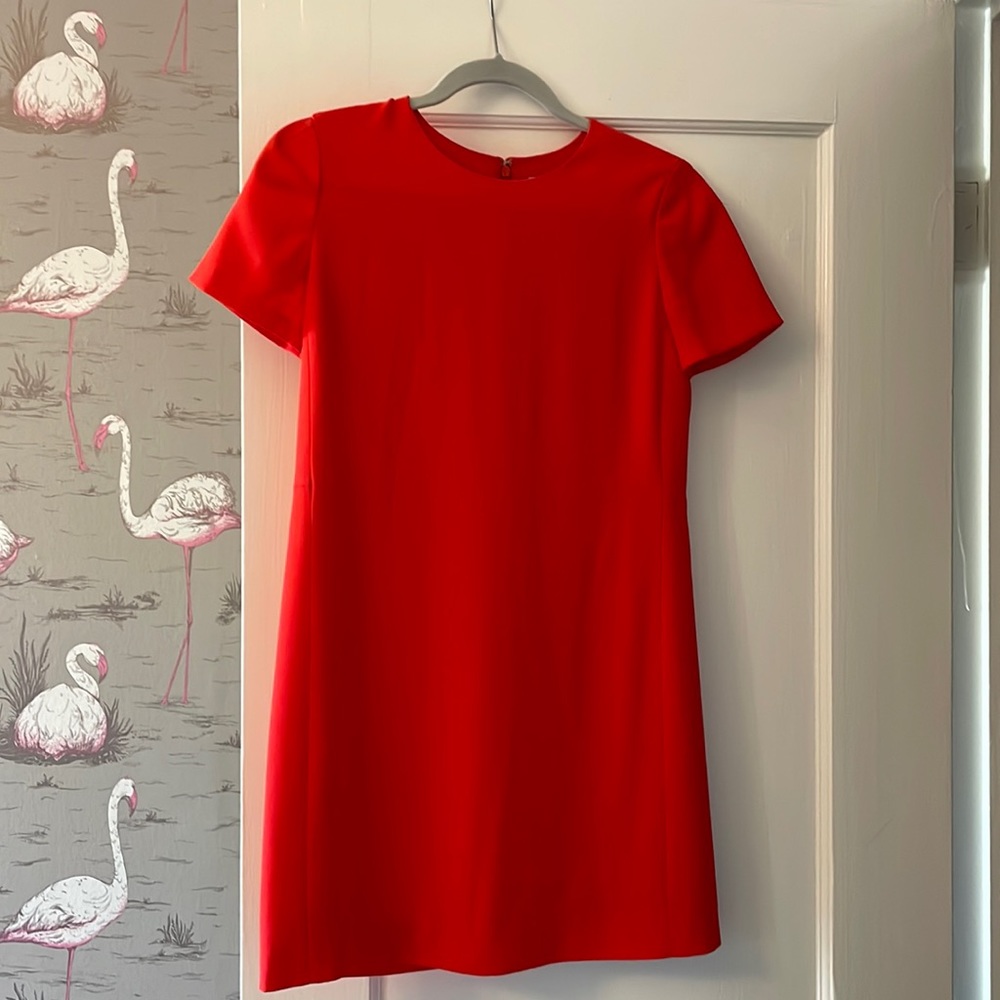 Aritzia Babaton Mini Dress